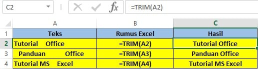 fungsi Trim pada Excel