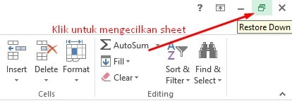 copy paste sheet Excel